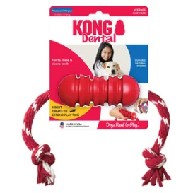 KONG Dental