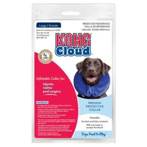 KONG Ecloud