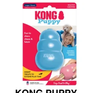 KONG Puppy